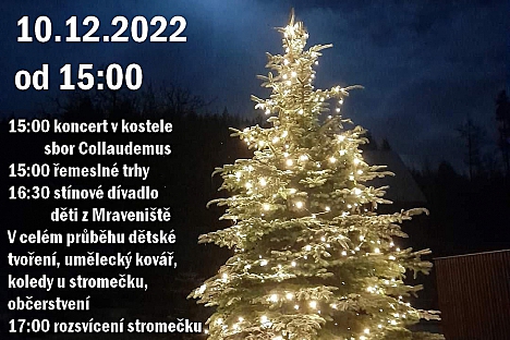 Rozsvícení vánočního stromu v Markoušovicích