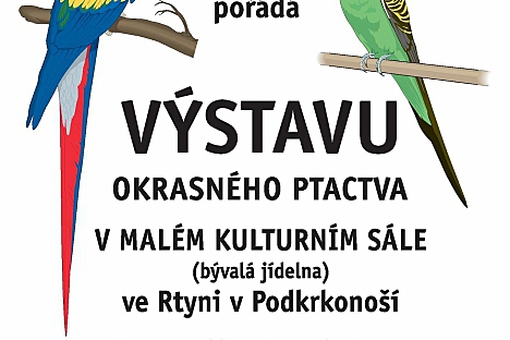 Výstava okrasného ptactva ve Rtyni