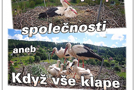 Vyprávění o čápech ve Velkých Svatoňovicích