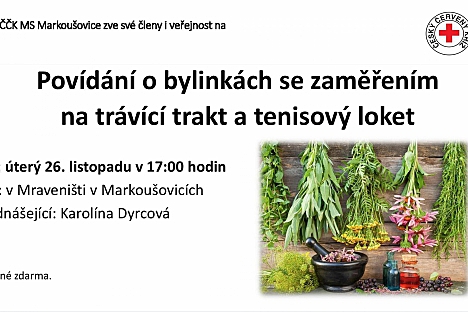 Povídání o bylinkách v Markoušovicích