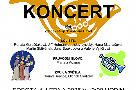 Tříkrálový koncert v Havlovicích