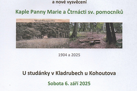 U Kohoutova otevřou Lesní galerii